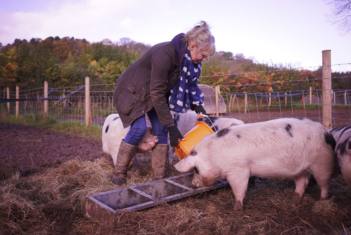 Plump Hill Farm | Forest of Dean Pig Farm | Rural Celebration retreat