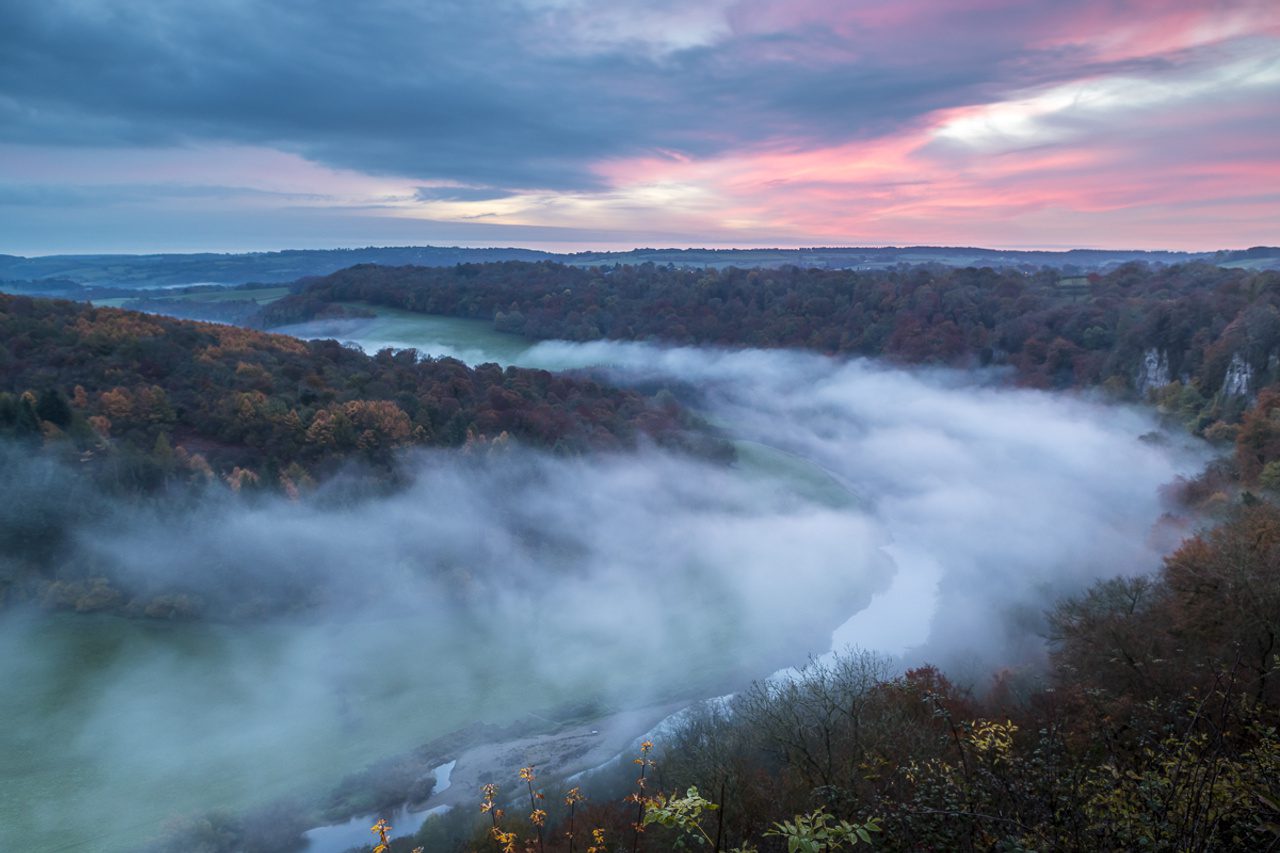 Symonds Yat Summer Explorer