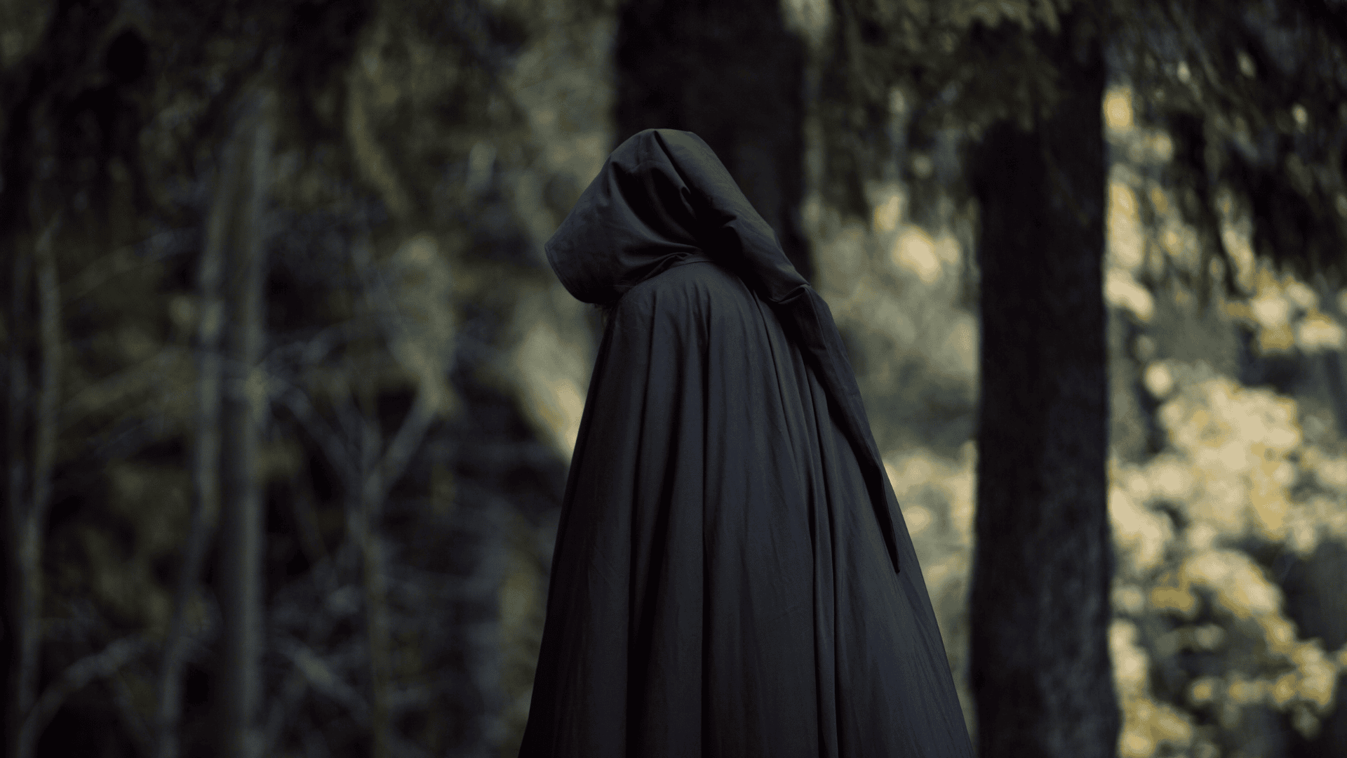 cloaked person int he forest - traitors weekend forest of dean