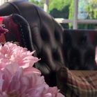 3* Hotel Forest of Dean - The Speech House Hotel