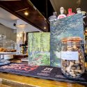 Dog Friendly Hotel | Forest of Dean - The Speech House Hotel