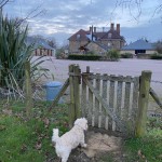 Dog Friendly Hotels Forest of Dean - The Speech House Hotel