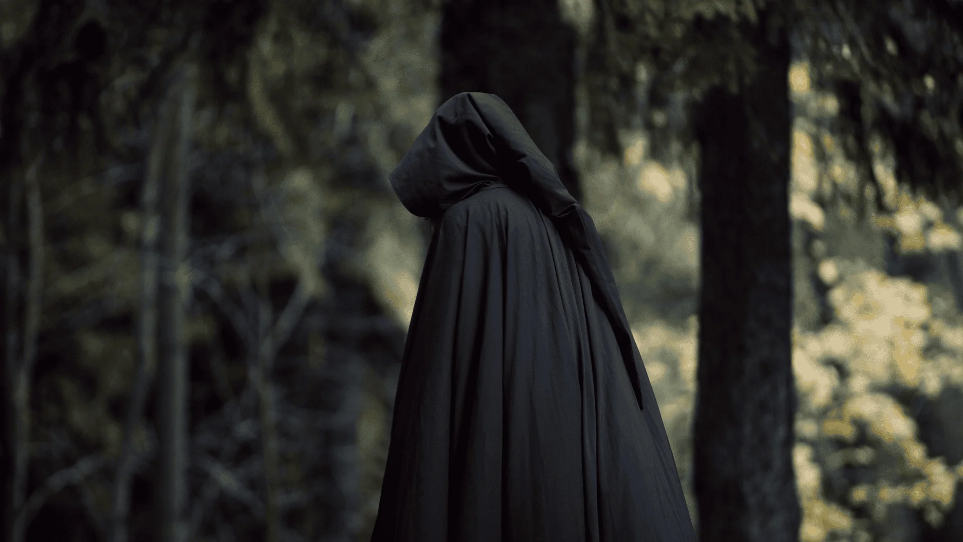 cloaked person int he forest - traitors weekend forest of dean